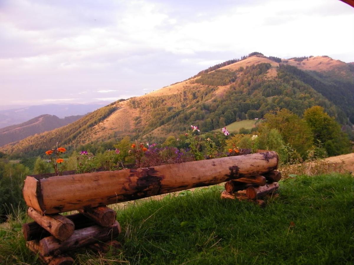 Pensiunea Bujor De Munte Petroşani Dış mekan fotoğraf